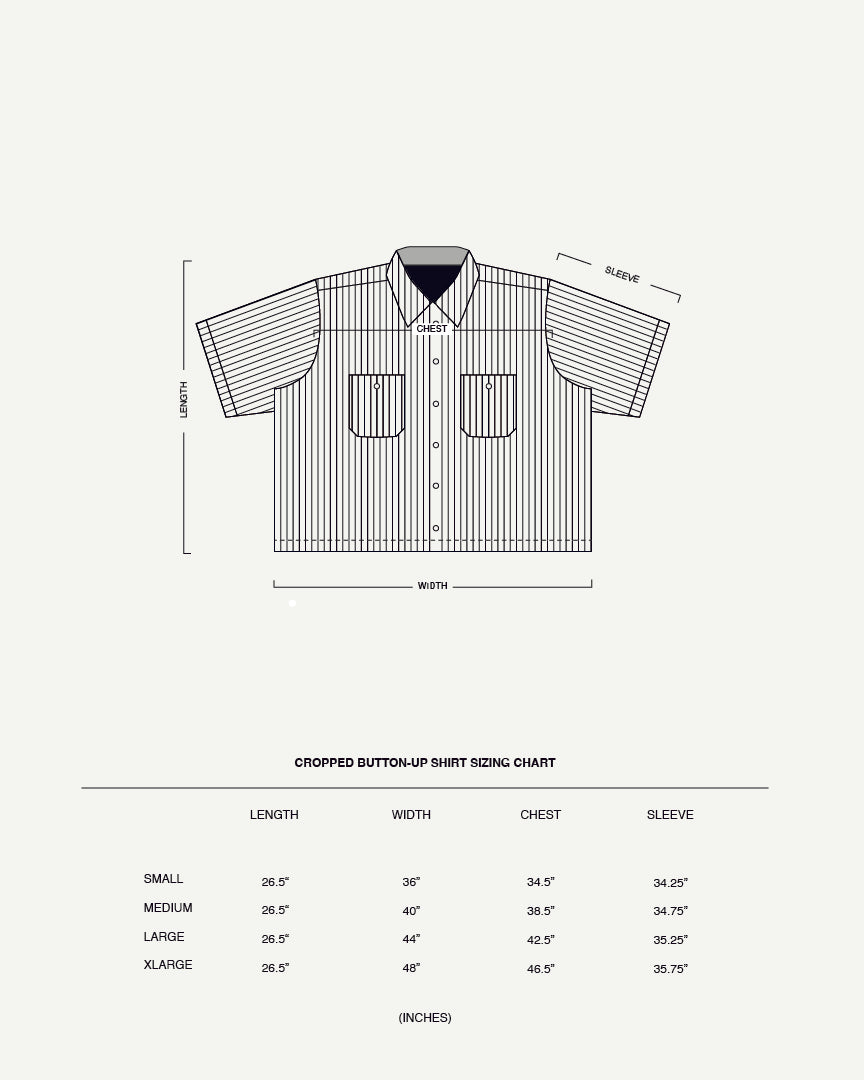 Persevere Button Up - White Striped